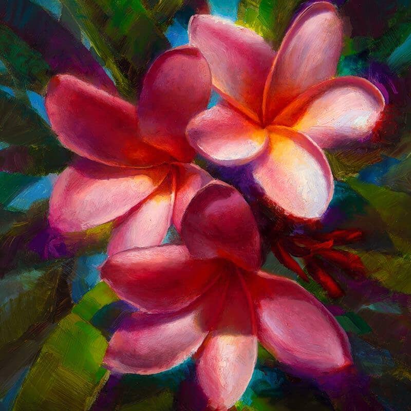 Collection of plumeria paintings featuring various wall art canvases that depict blooming plumeria flowers.
