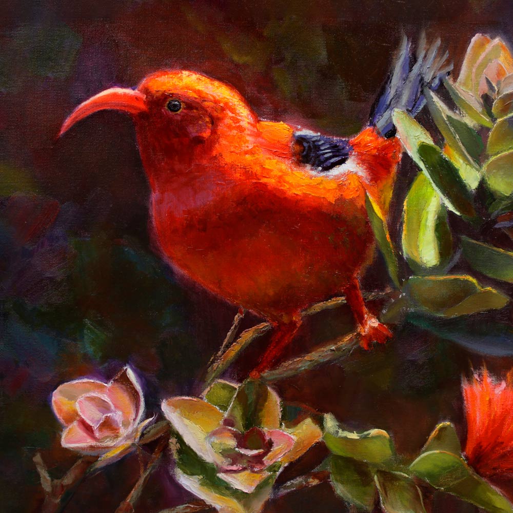 wildlife wall art canvas of native Hawaiian iiwi bird