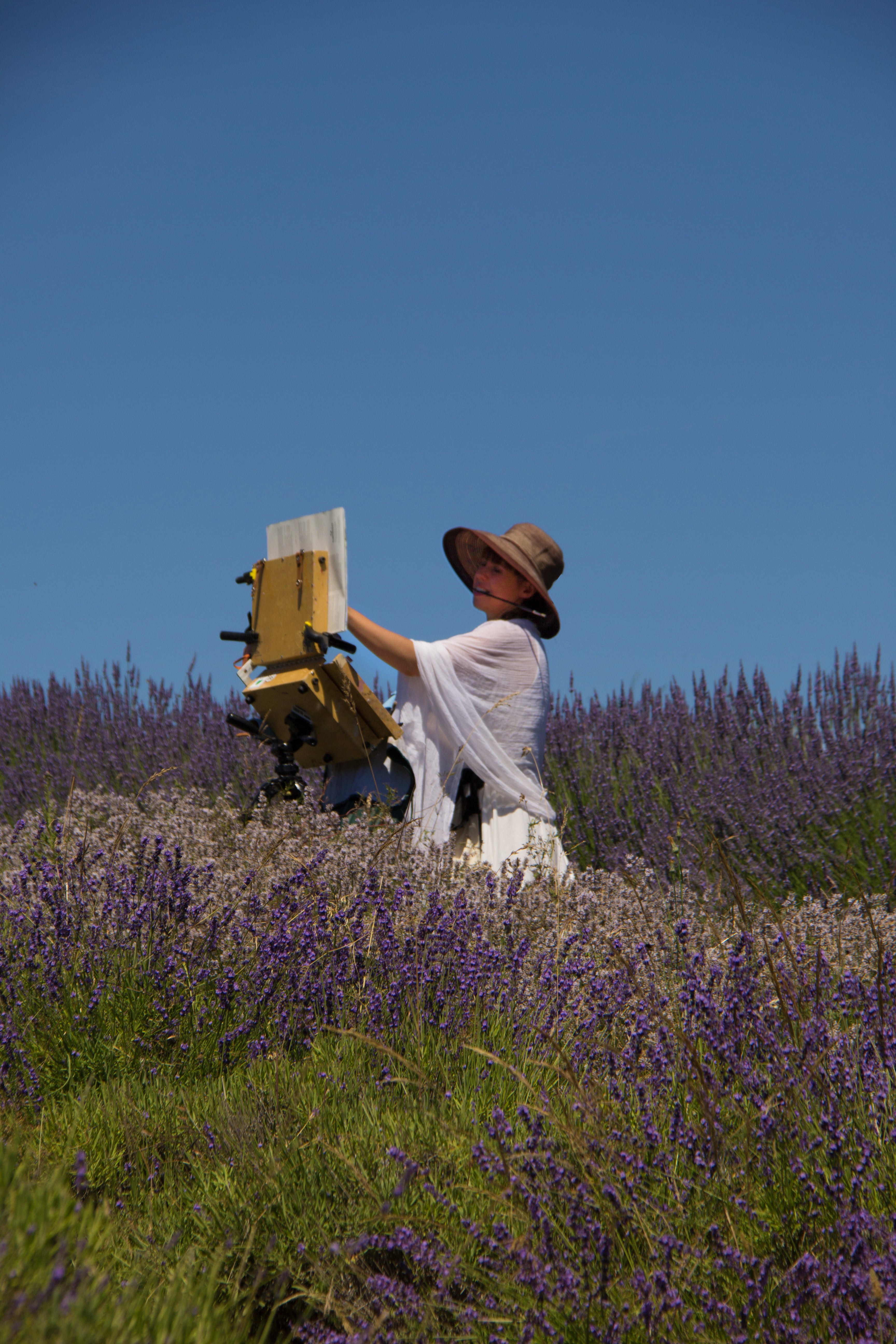 Artist Karen Whitworth in Lavender field painting lavender flowers