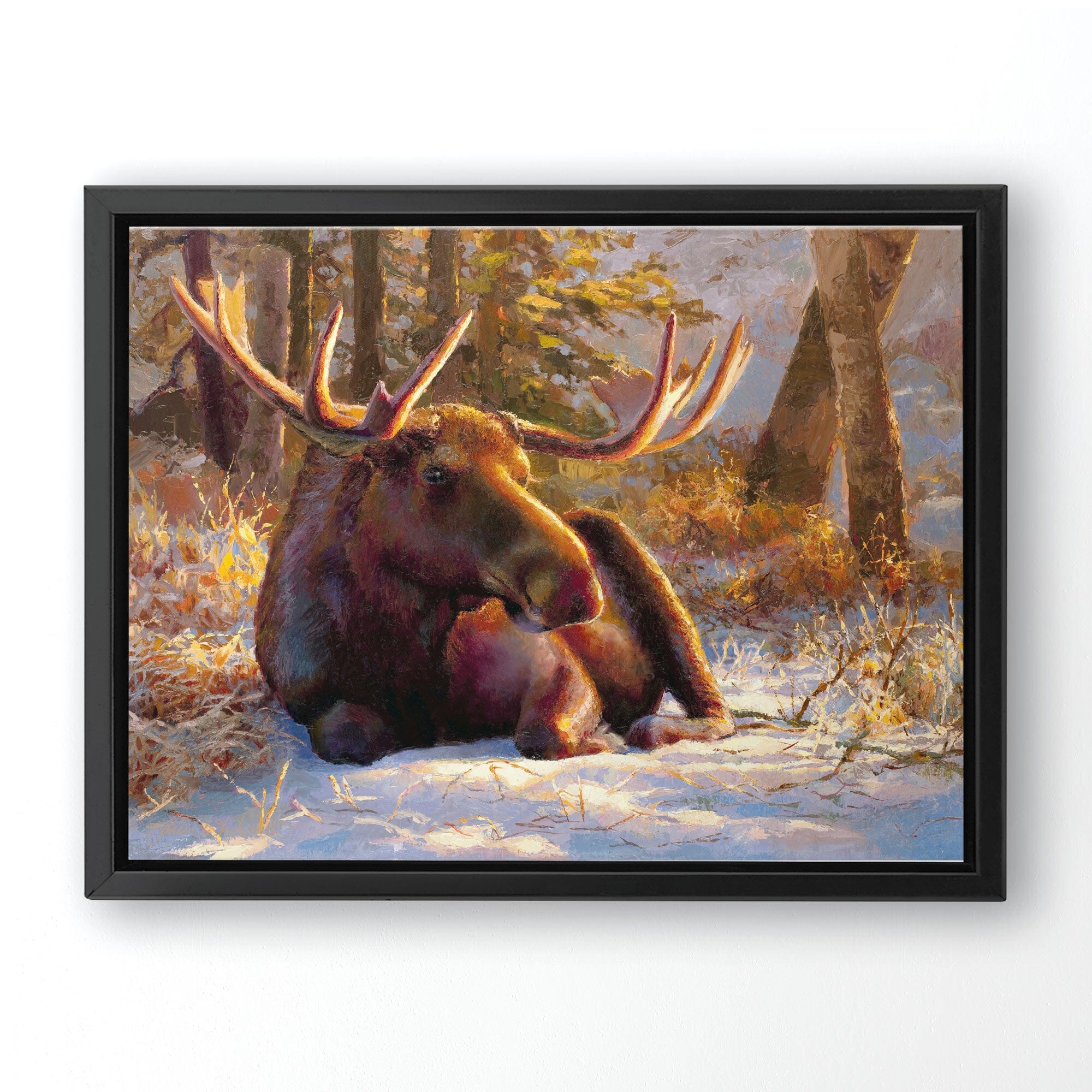 Winter Bull Moose Wall Art Canvas