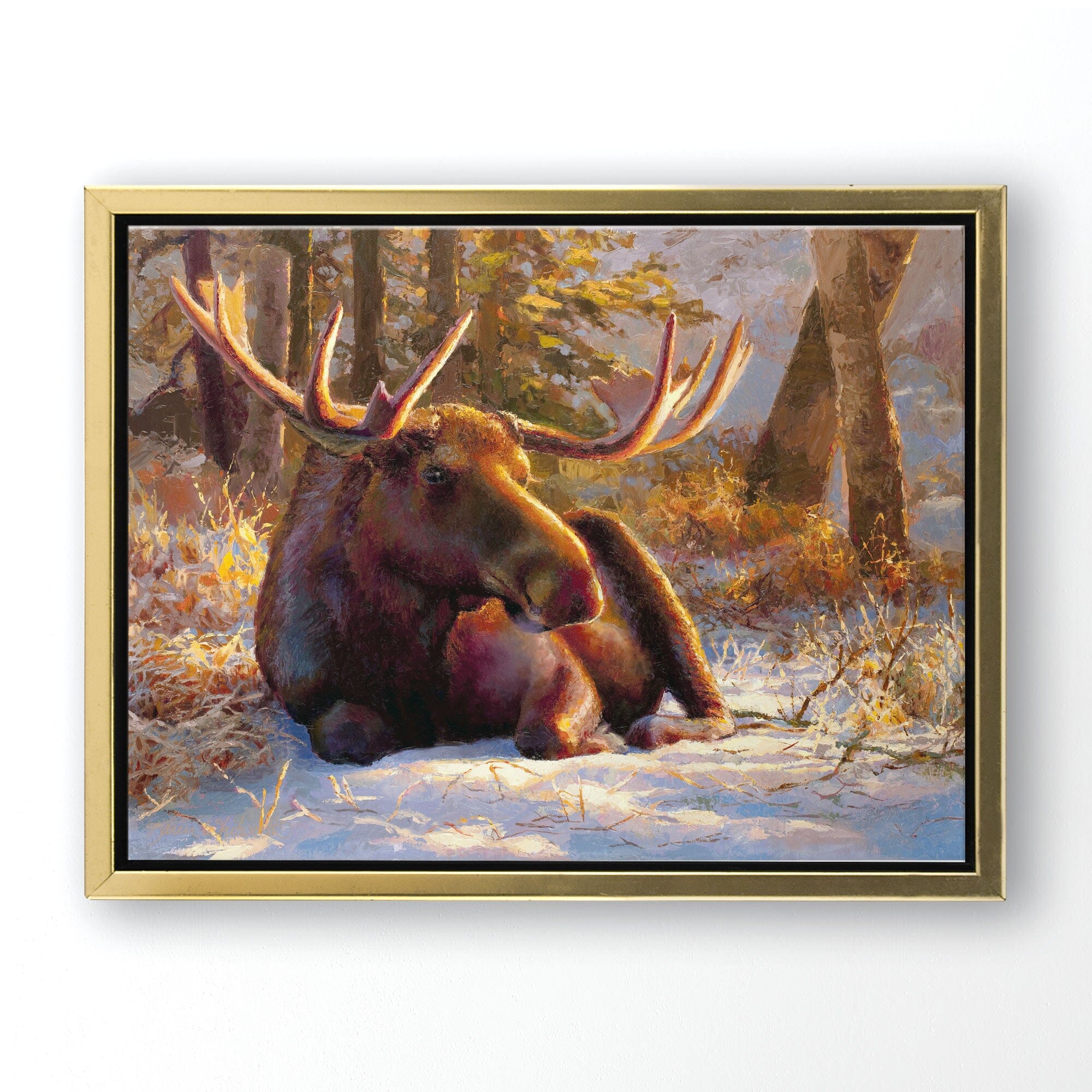 Winter Bull Moose Wall Art Canvas