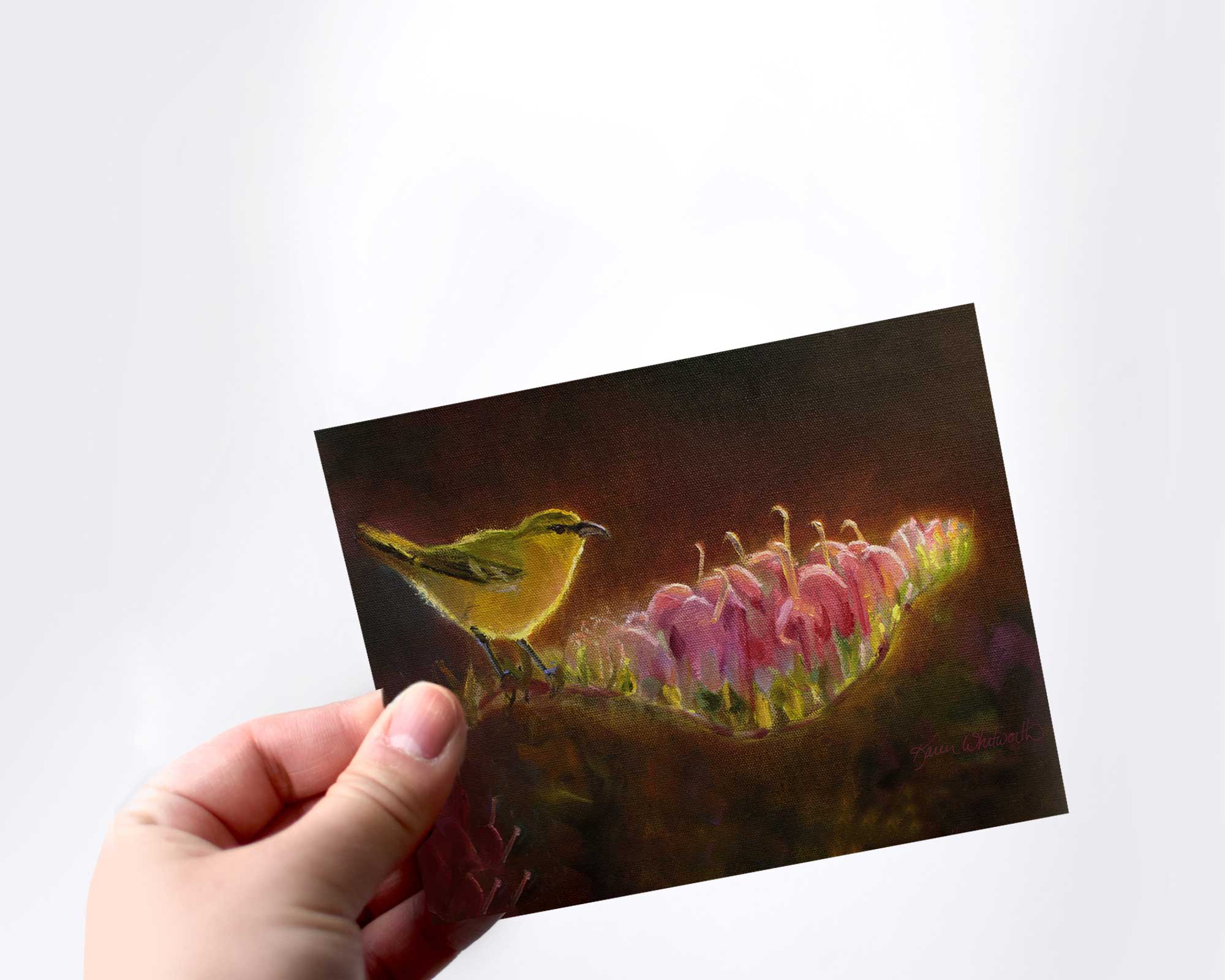 Hand holding a greeting card featuring Hawaiian Amakihi Bird and Koli'i Flower on a white background