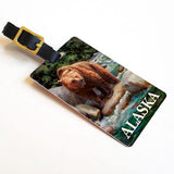 Alaska Brown Bear Luggage Tag