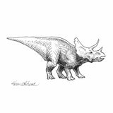 Triceratops wall art print of dinosaur drawing by artist Karen Whitworth