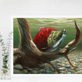 Sockeye Salmon Wall Art Print