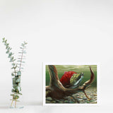 Sockeye Salmon Wall Art Print