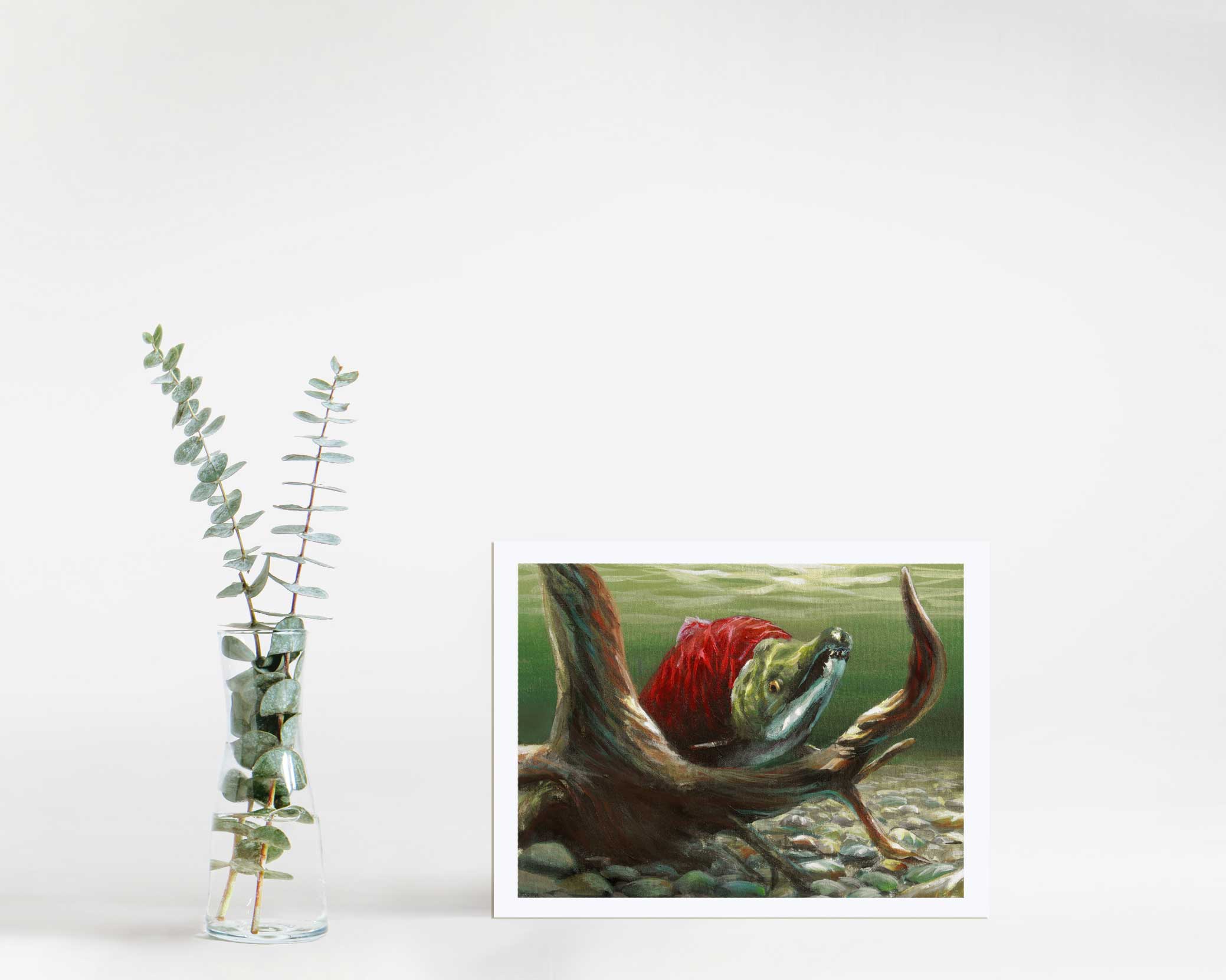 Sockeye Salmon Wall Art Print