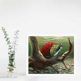 Sockeye Salmon Wall Art Print