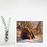 Winter Bull - Moose Art Prints