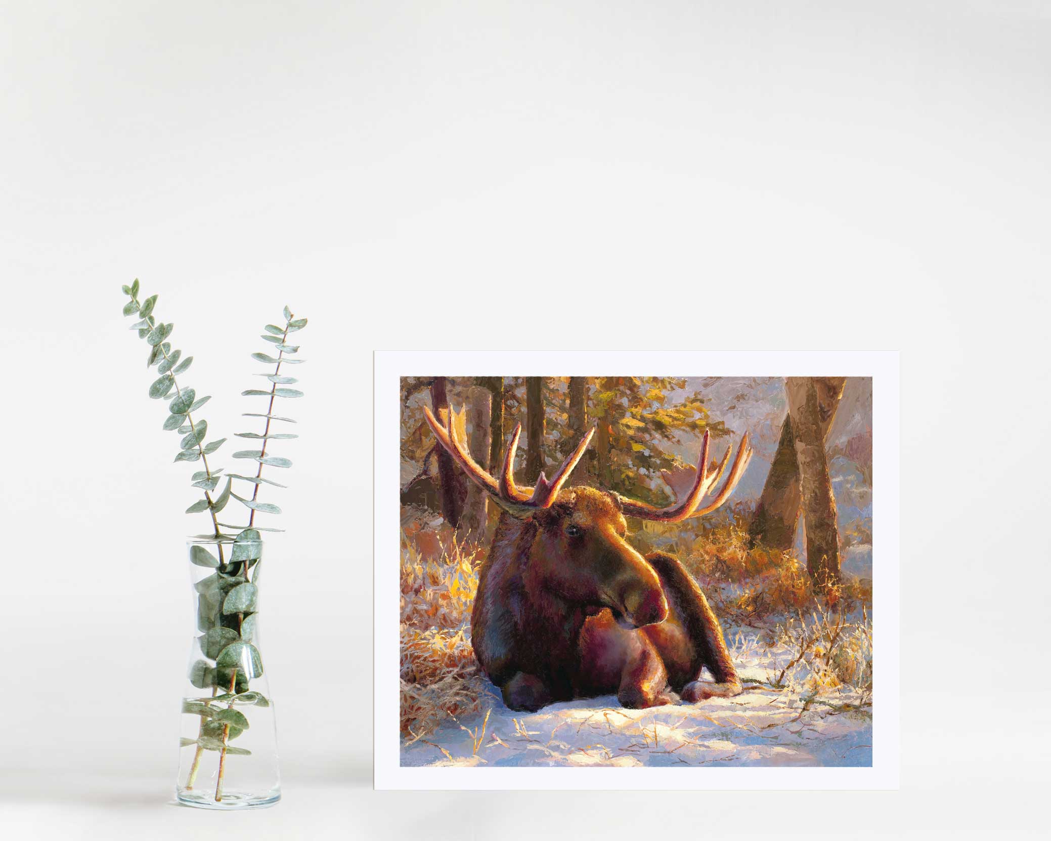 Winter Bull - Moose Art Prints