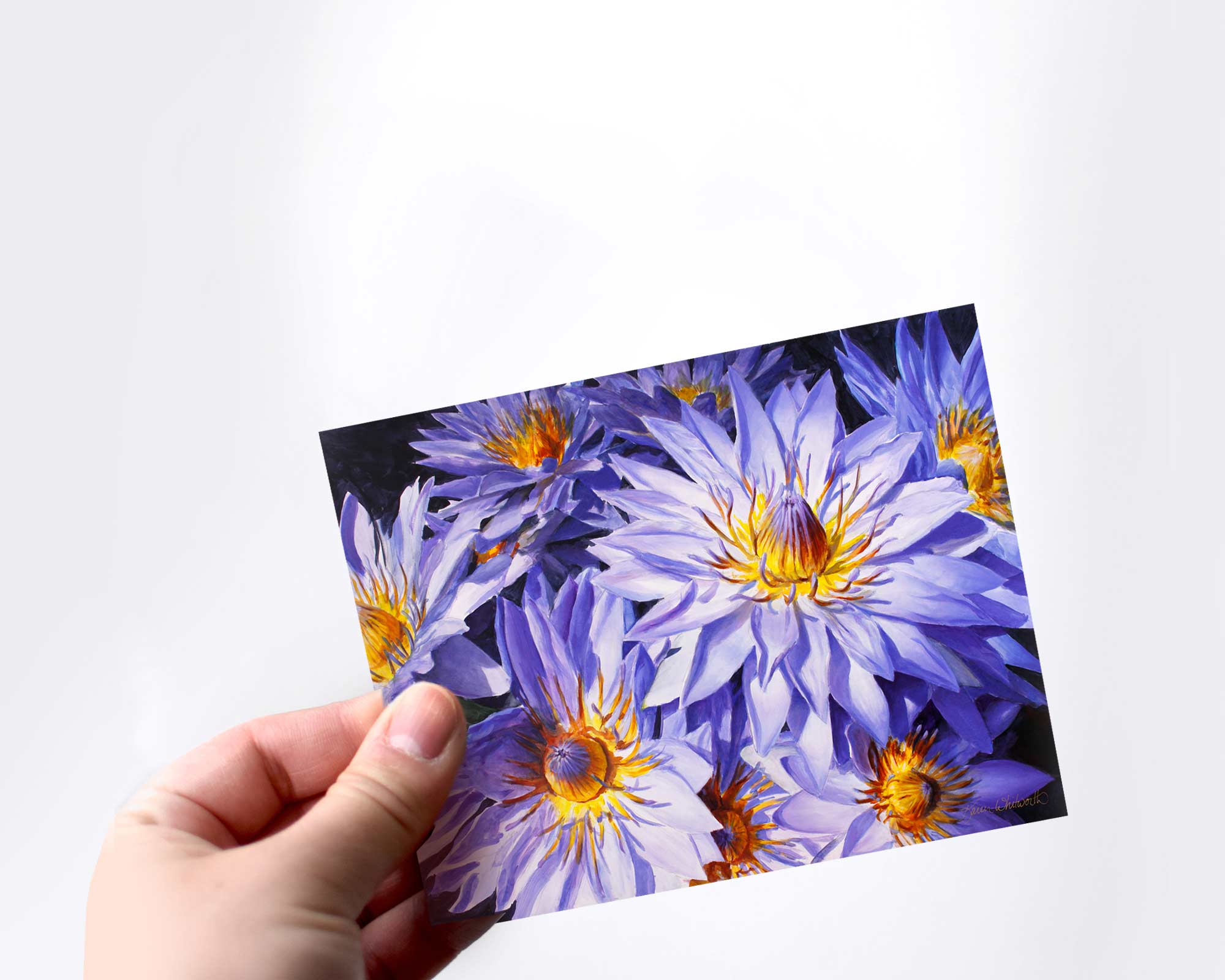 A hand holding an envelope and card featuring art of tropical Hawaiian Lotus Flowers on white background