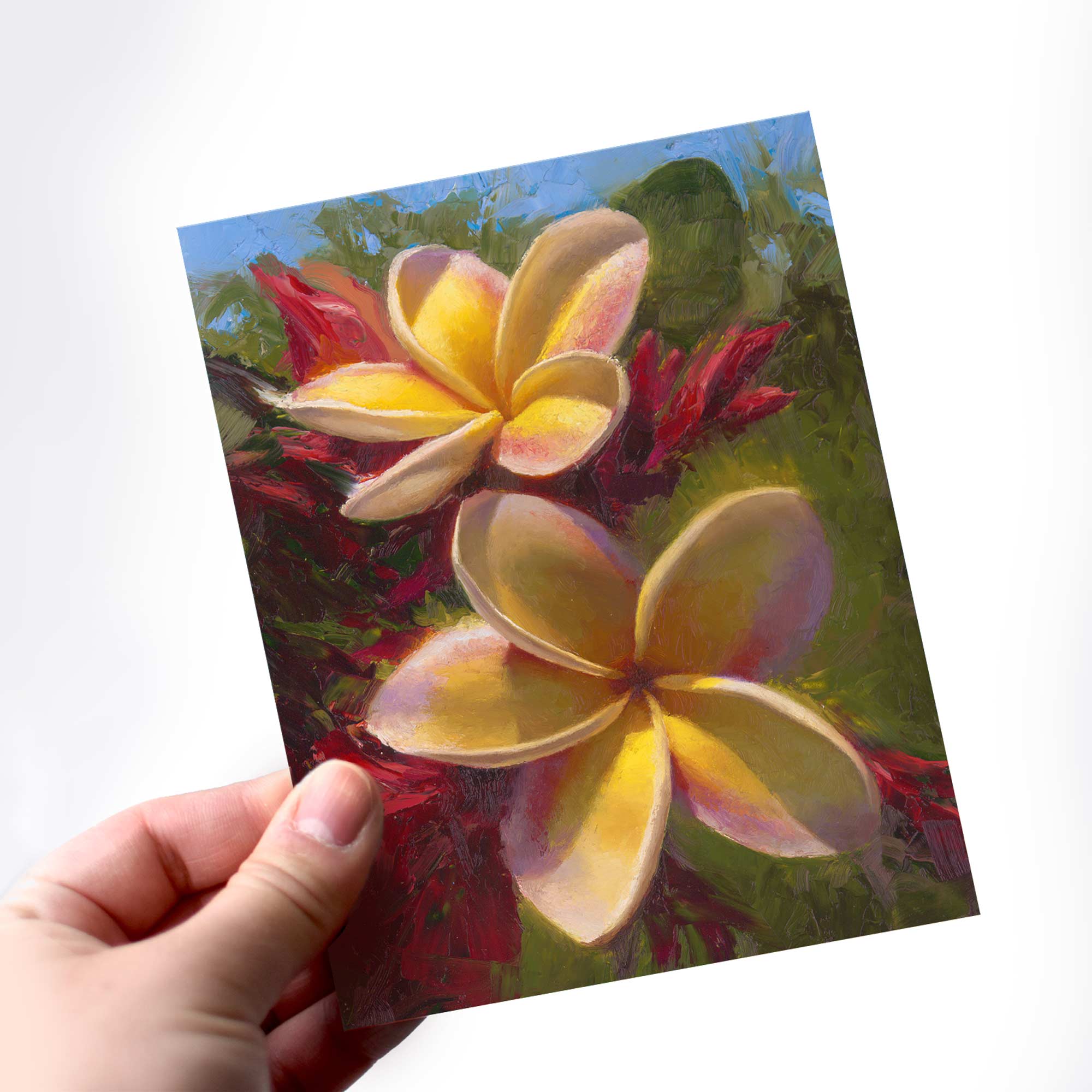 Beautiful and Vibrant Plumeria Flower Greeting Cards – Art of