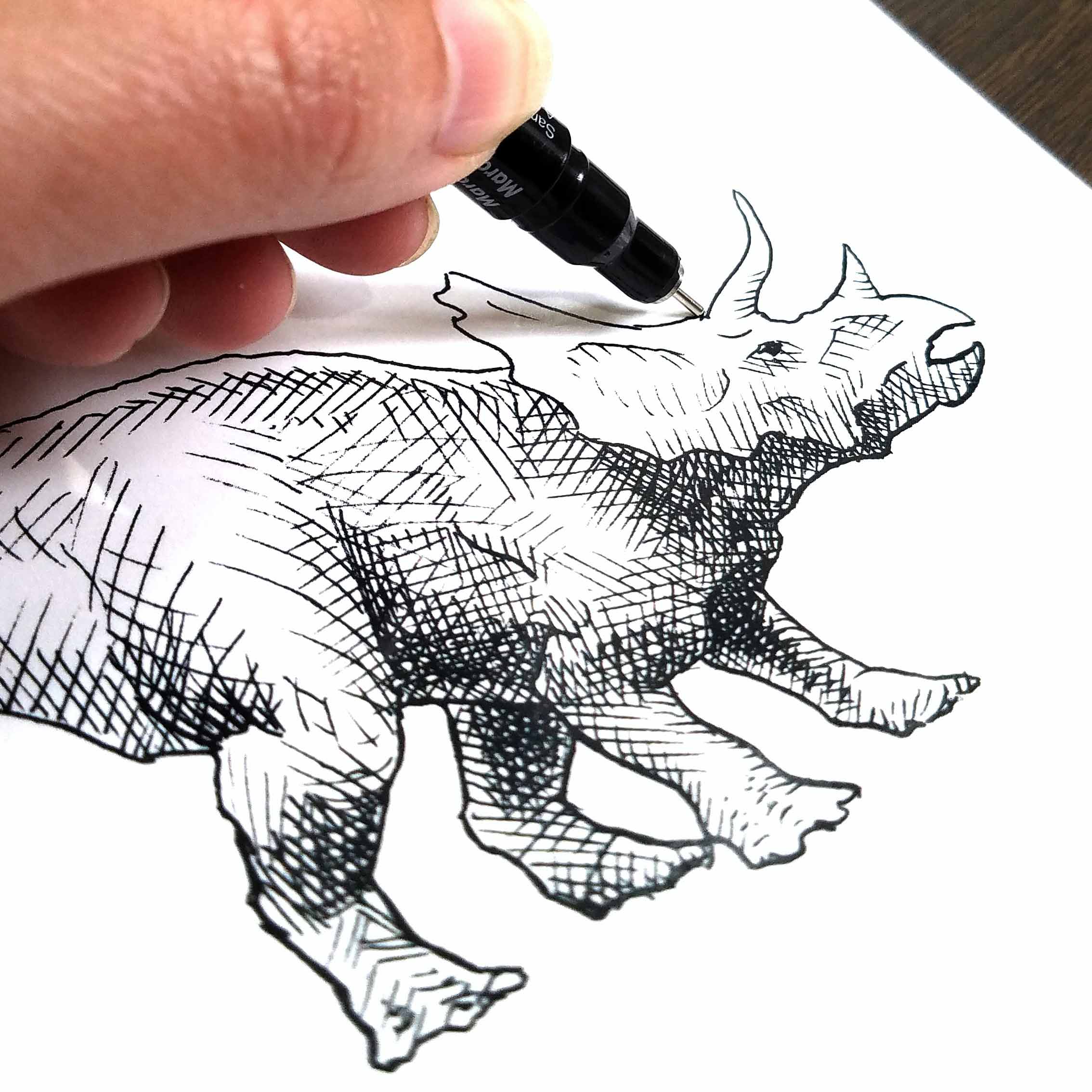 Triceratops wall art print of dinosaur drawing by artist Karen Whitworth