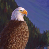 Bald Eagle Alaska Art Print