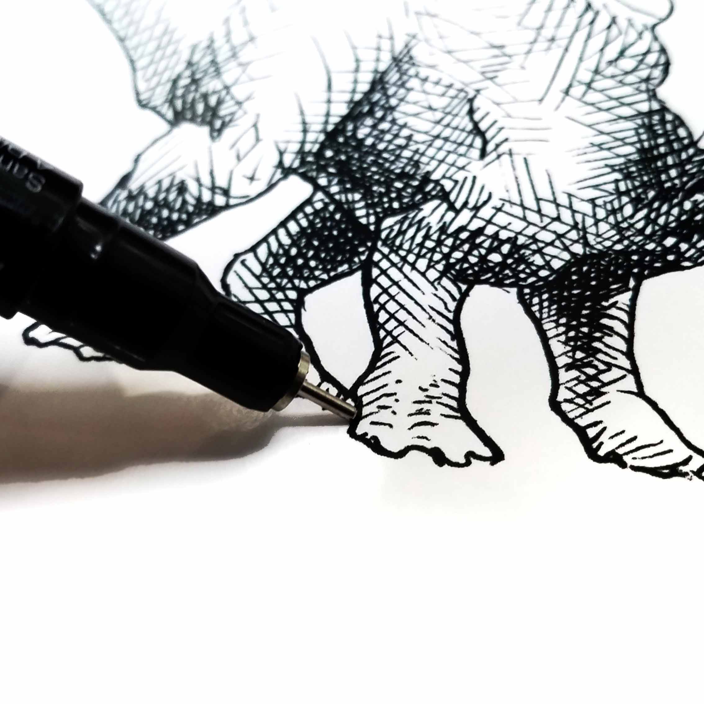 Triceratops wall art print of dinosaur drawing by artist Karen Whitworth