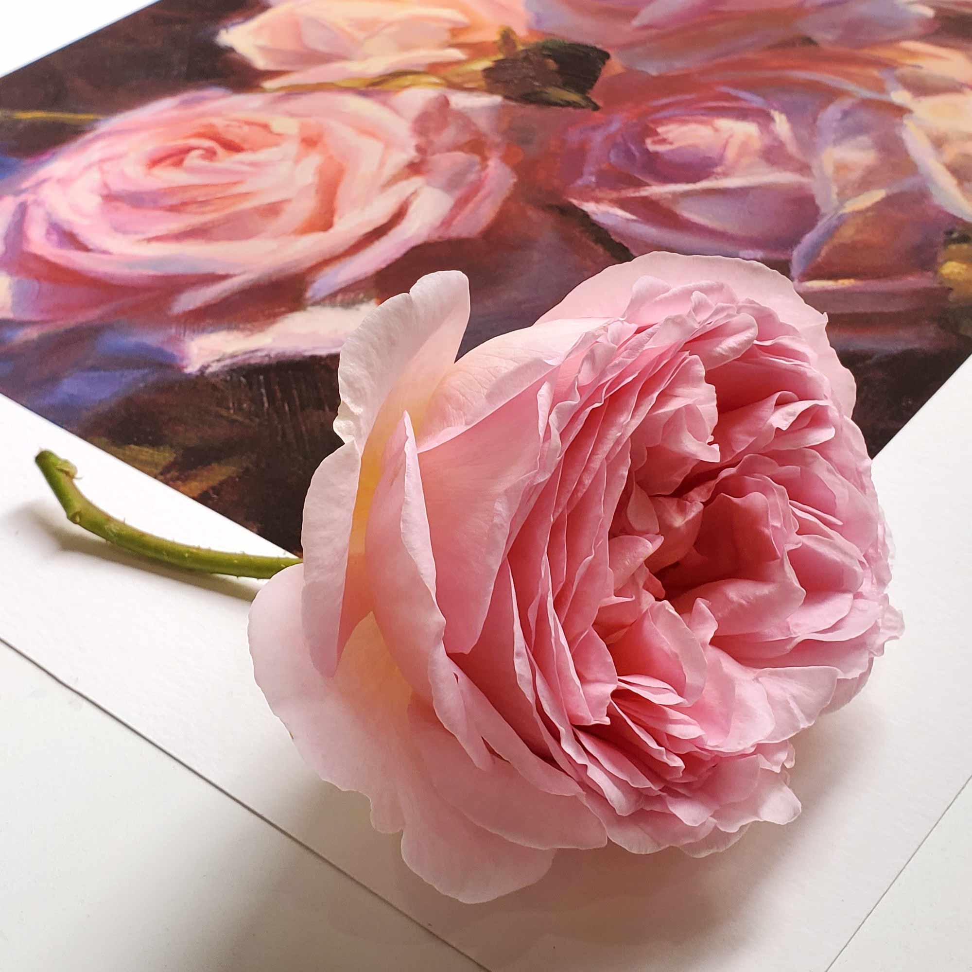 English Roses Wall Art Print of Pink Flowers by Floral Artist Karen Whitworth