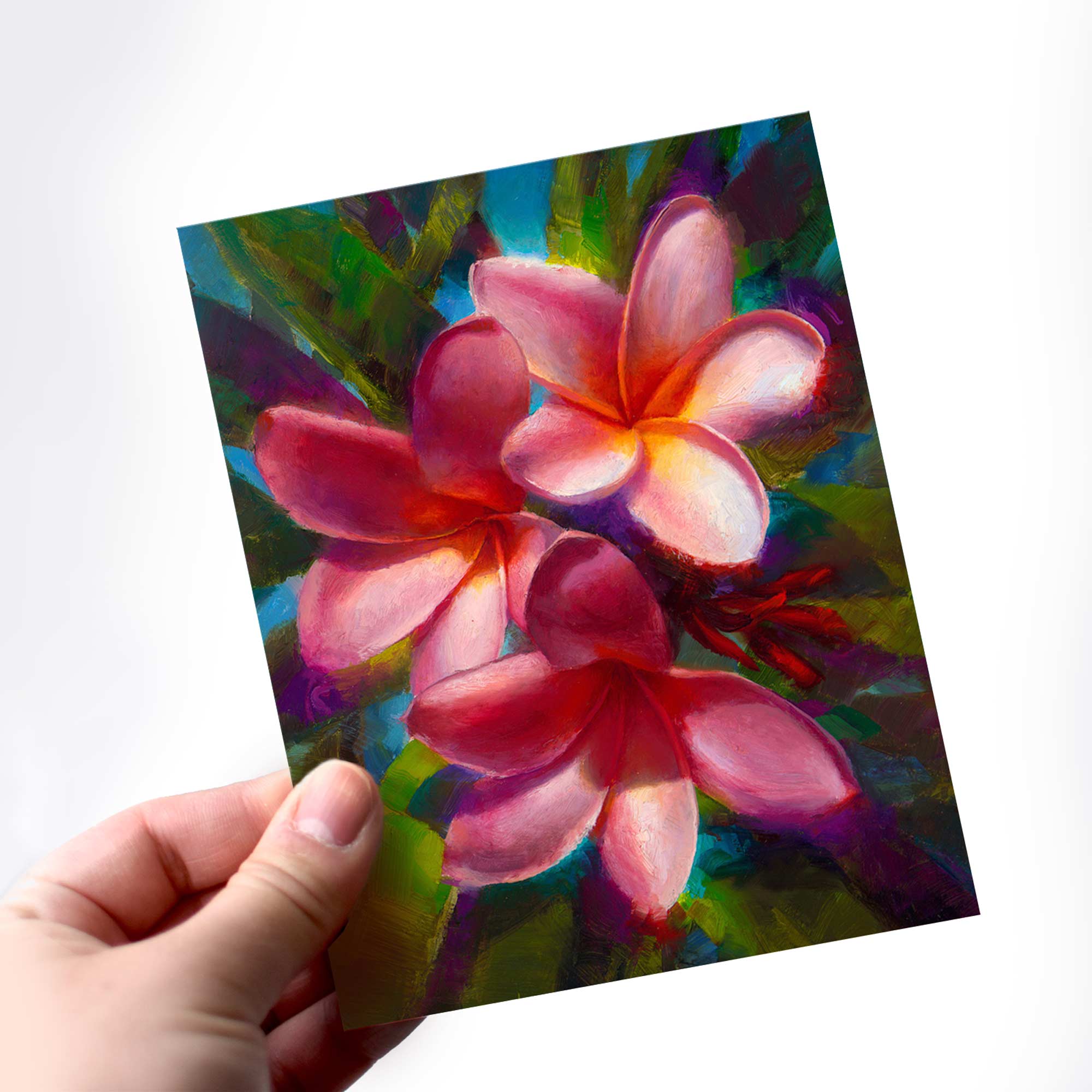 Pink Plumeria Flower Greeting Card