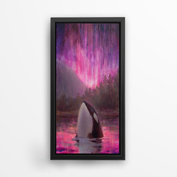 Black-Framed-Orca-Canvas-Art-