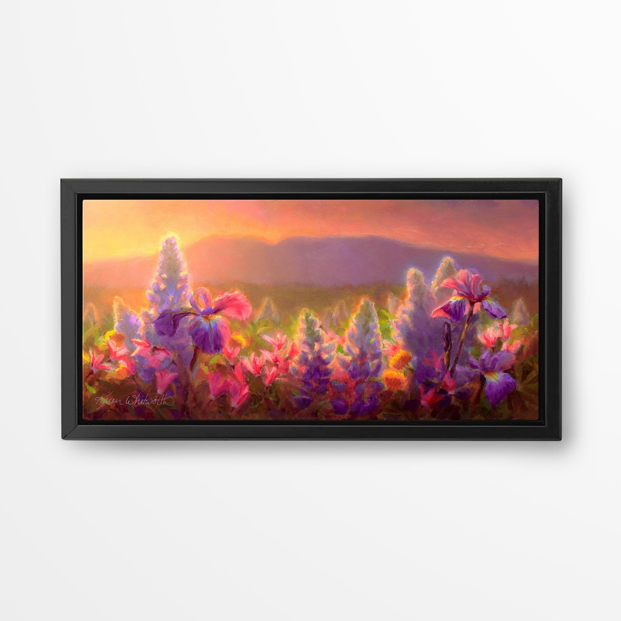 Wildflower Sunset over Sleeping Lady, A Beautiful Alaska Landscape