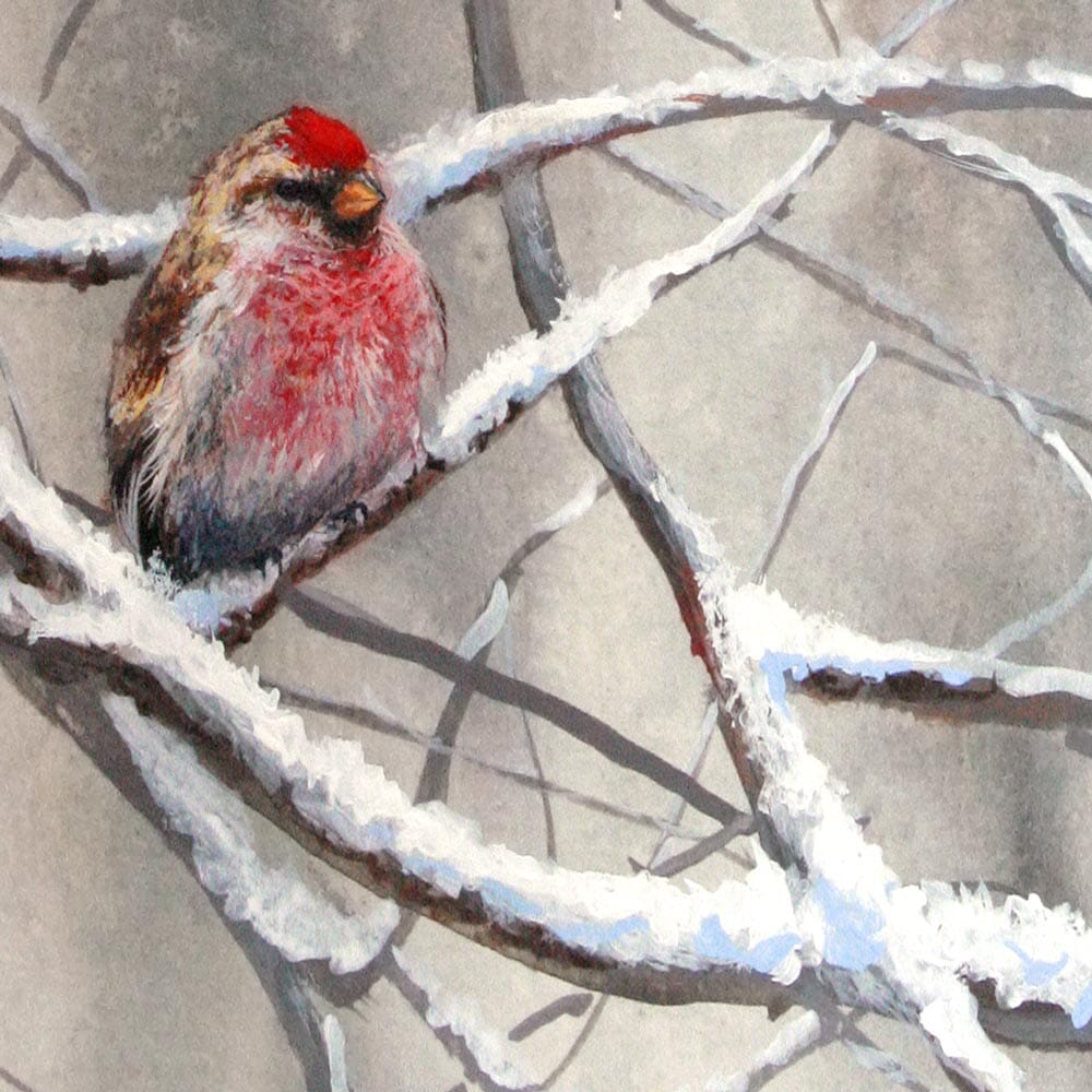 Winter bird wall art print of snowy bird by artist Karen Whitworth