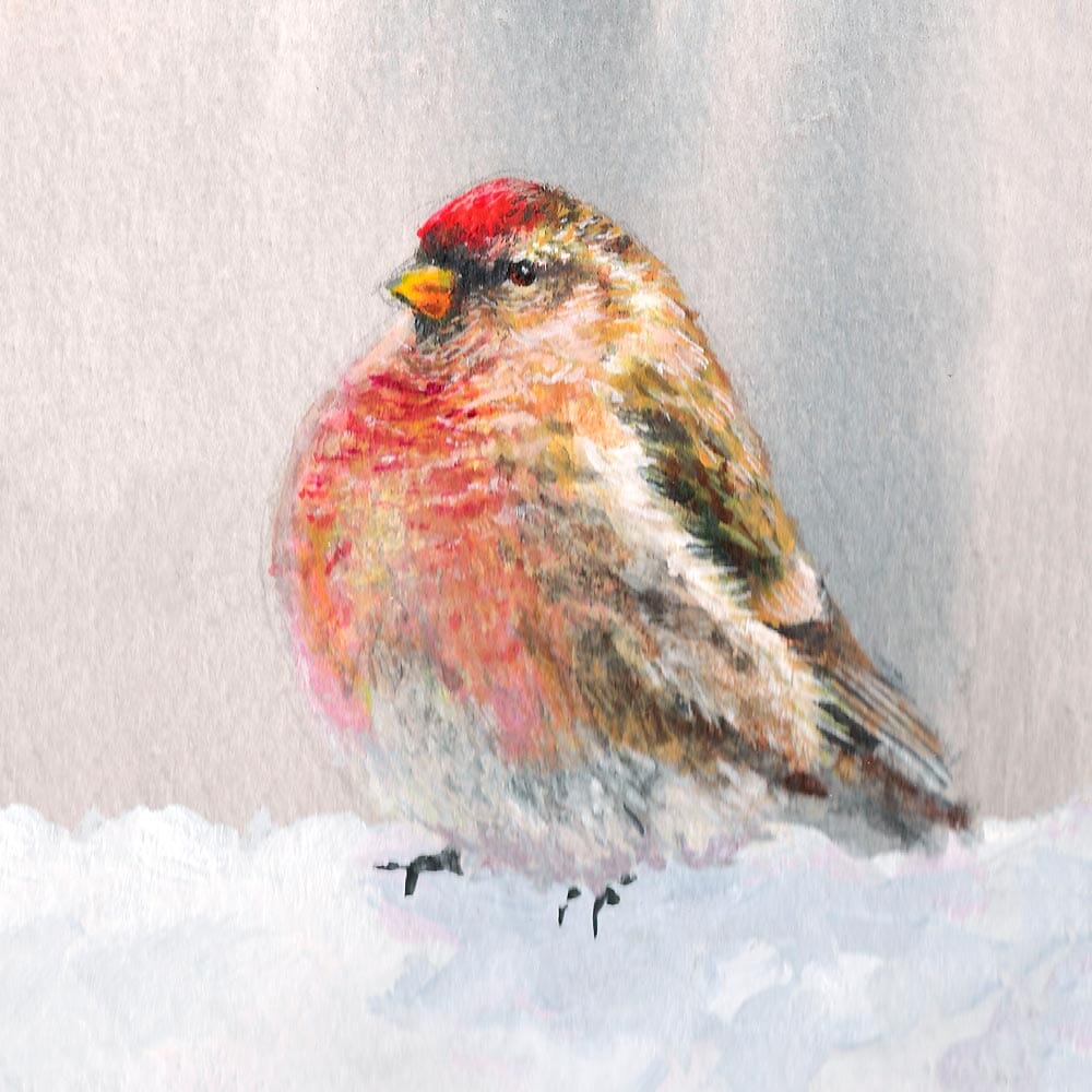 Winter bird painting wall art print of snowy bird by artist Karen Whitworth