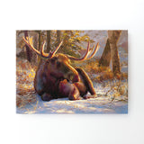Winter Bull Moose Wall Art Canvas