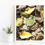 Wall art print of fallen leaves by nature artist Karen Whitworth