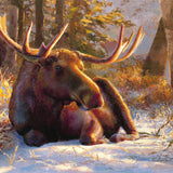 Winter Bull - Moose Art Prints