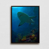 Framed underwater painting of Hawaiian shark canvas by ocean artist Karen Whitworth