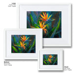Framed bird of paradise tropical wall art prints in white picture frames