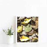 Wall art print of fallen leaves by nature artist Karen Whitworth