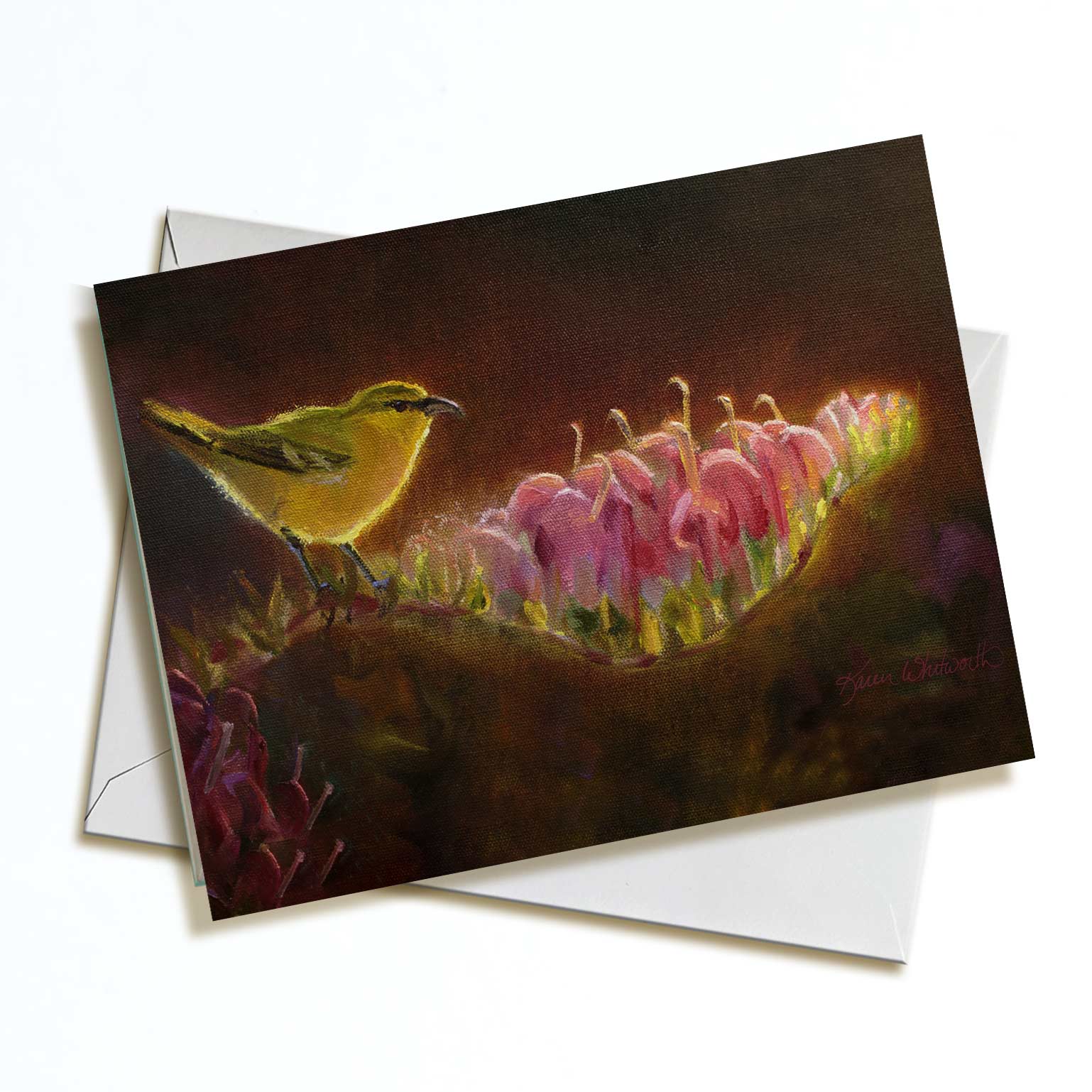 Greeting card featuring Hawaiian Amakihi Bird and Koli'i Flower on a white background