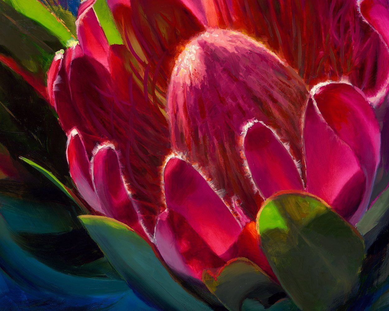 Protea Canvas Print of Hawaii Flower Painting - Sunlit Protea
