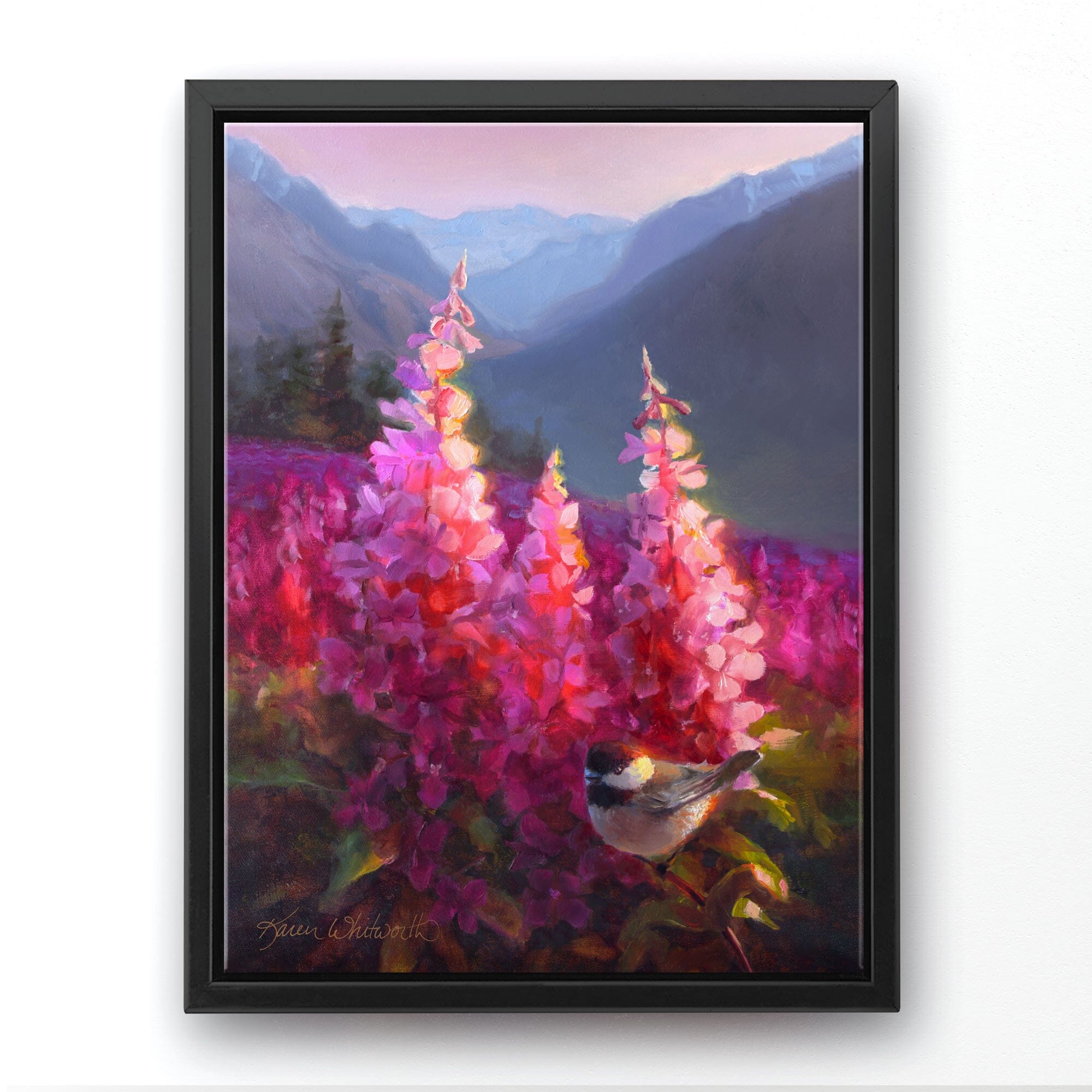 Alaska art on canvas of mountains with alpenglow on a meadow of fireweed flowers. This landscape painting is framed with a black floater frame and is hanging on a white wall.