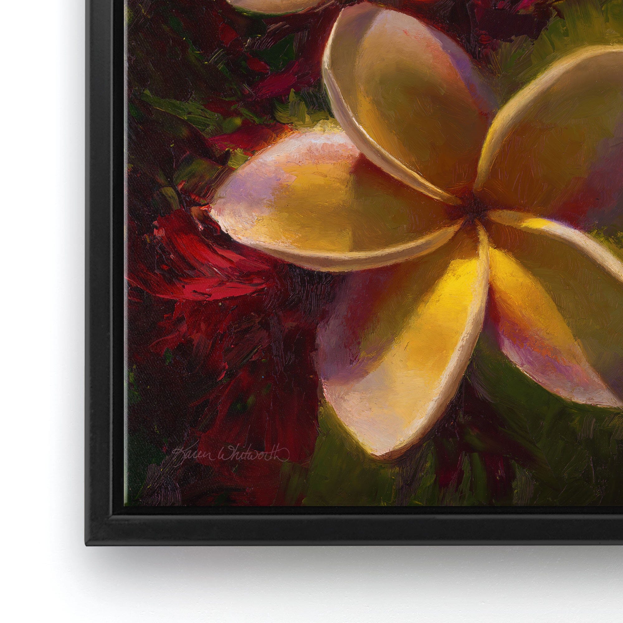 Mini Canvas Painting of Tropical Hawaiian Plumeria Flower Original Acrylic  Painting 