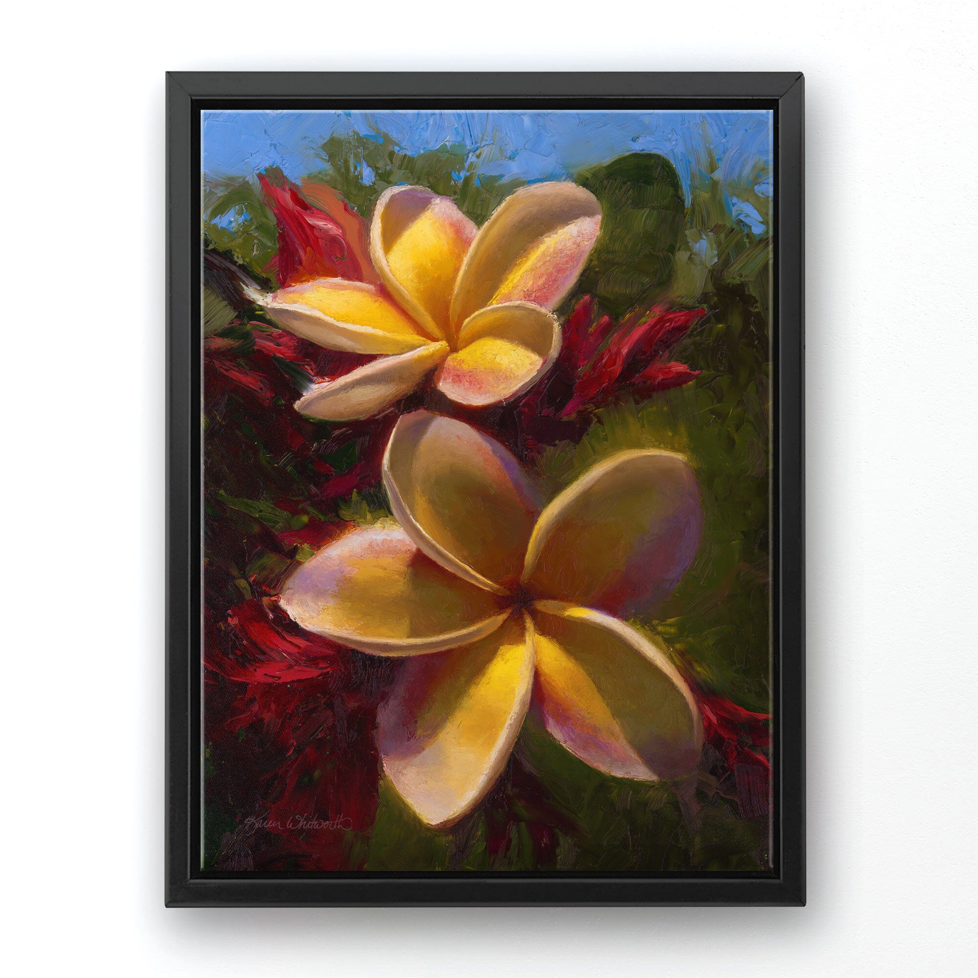 Hawaiian canvas art of tropical plumeria flowers in a floral painting by artist Karen Whitworth. The artwork is in a black picture frame and hanging on a white wall. 
