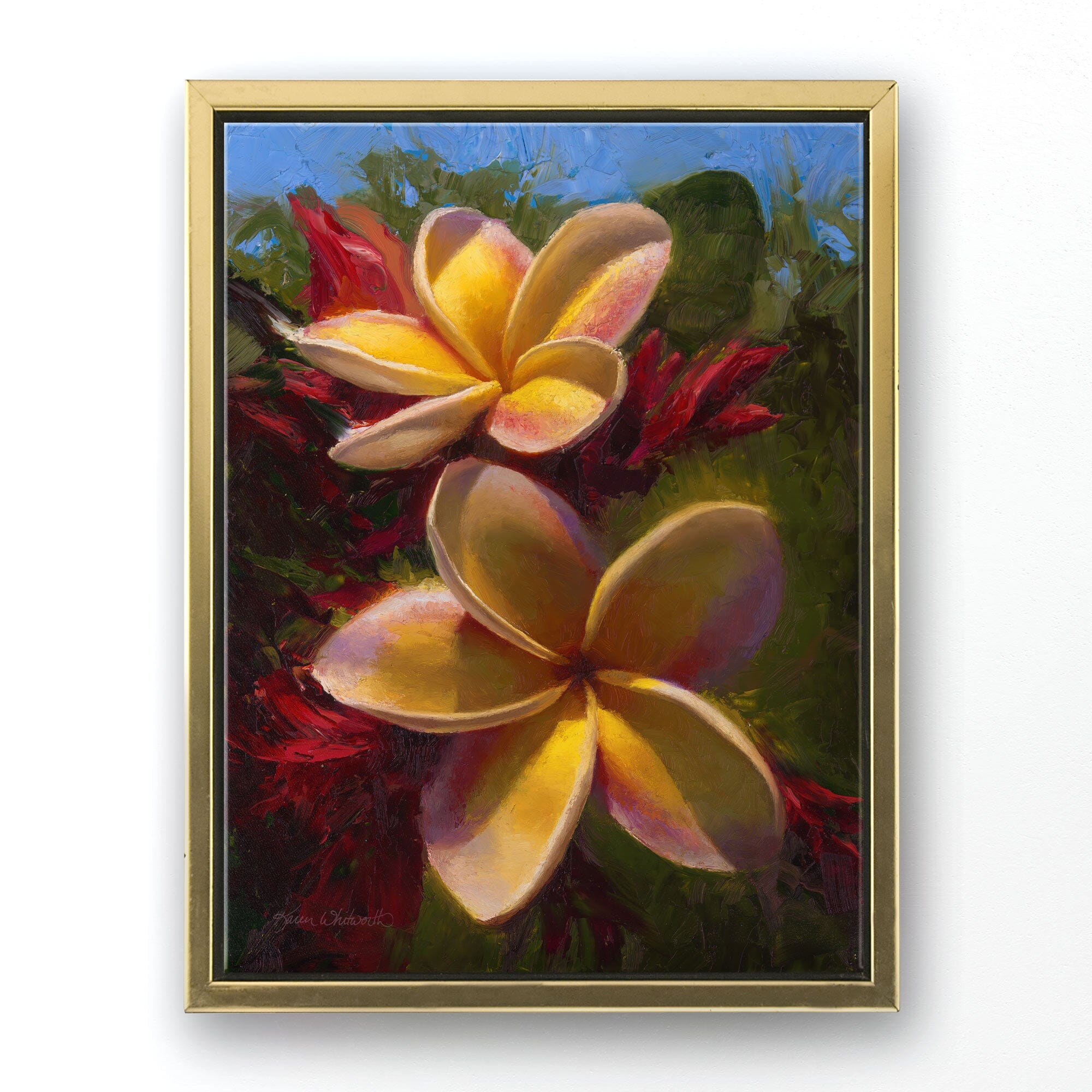 Hawaiian canvas art of tropical plumeria flowers in a floral painting by artist Karen Whitworth. The artwork is in a gold picture frame and hanging on a white wall. 