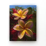 Hawaiian canvas art of tropical plumeria flowers in a floral painting by artist Karen Whitworth. The artwork is hanging on a white wall. 
