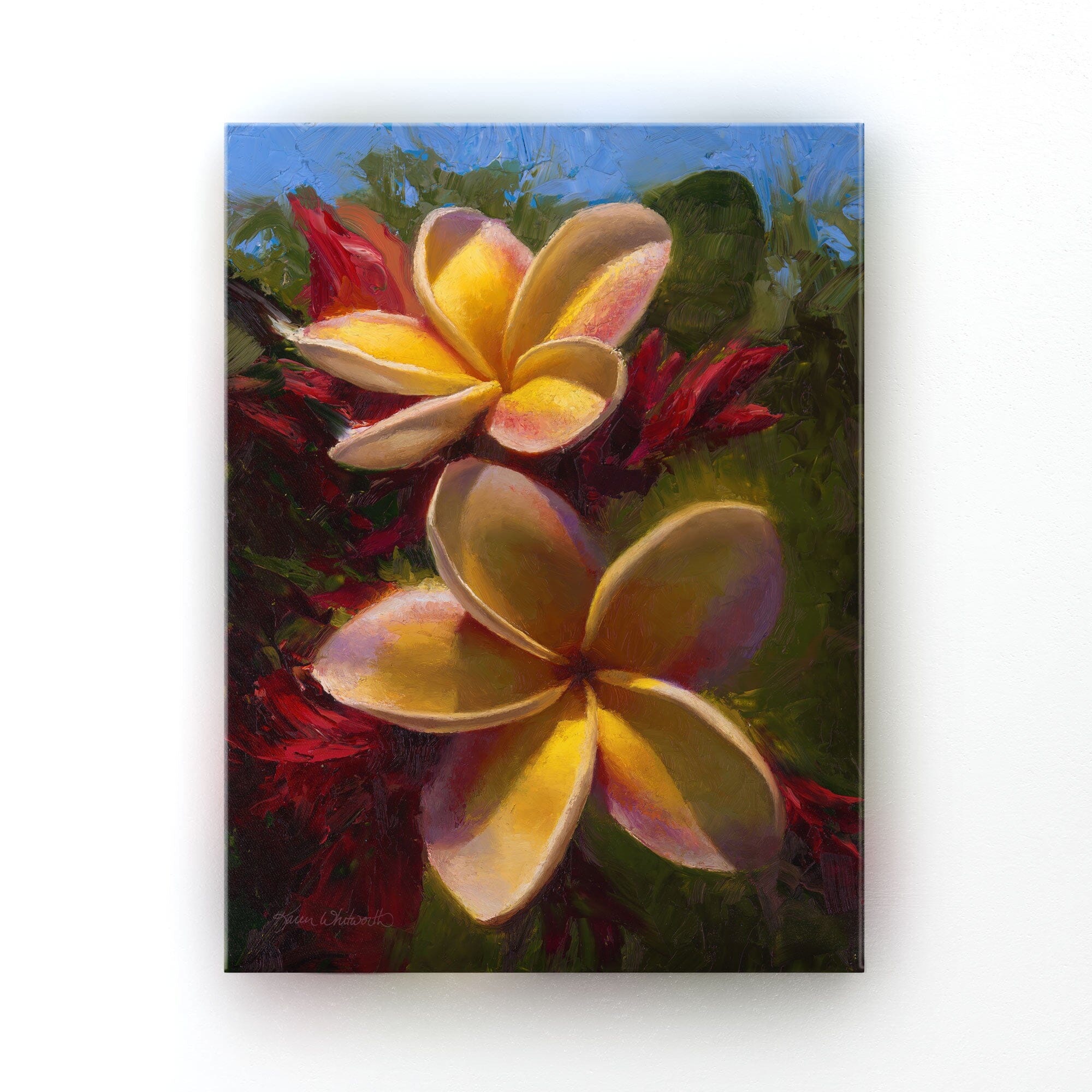 Hawaiian canvas art of tropical plumeria flowers in a floral painting by artist Karen Whitworth. The artwork is hanging on a white wall. 
