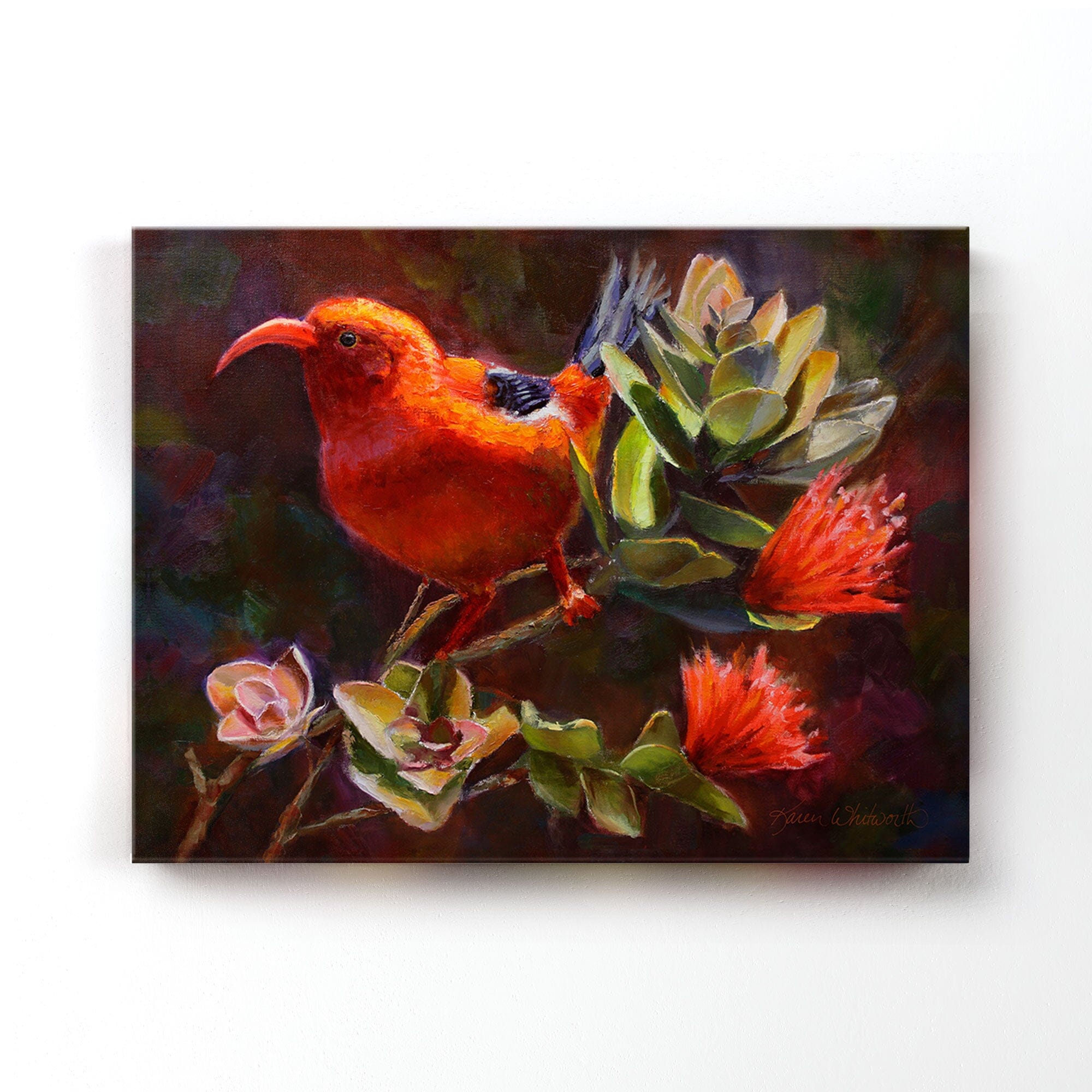 Hawaiian canvas art flower painting of ohia tree and iiwi bird by Hawaii artist Karen Whitworth