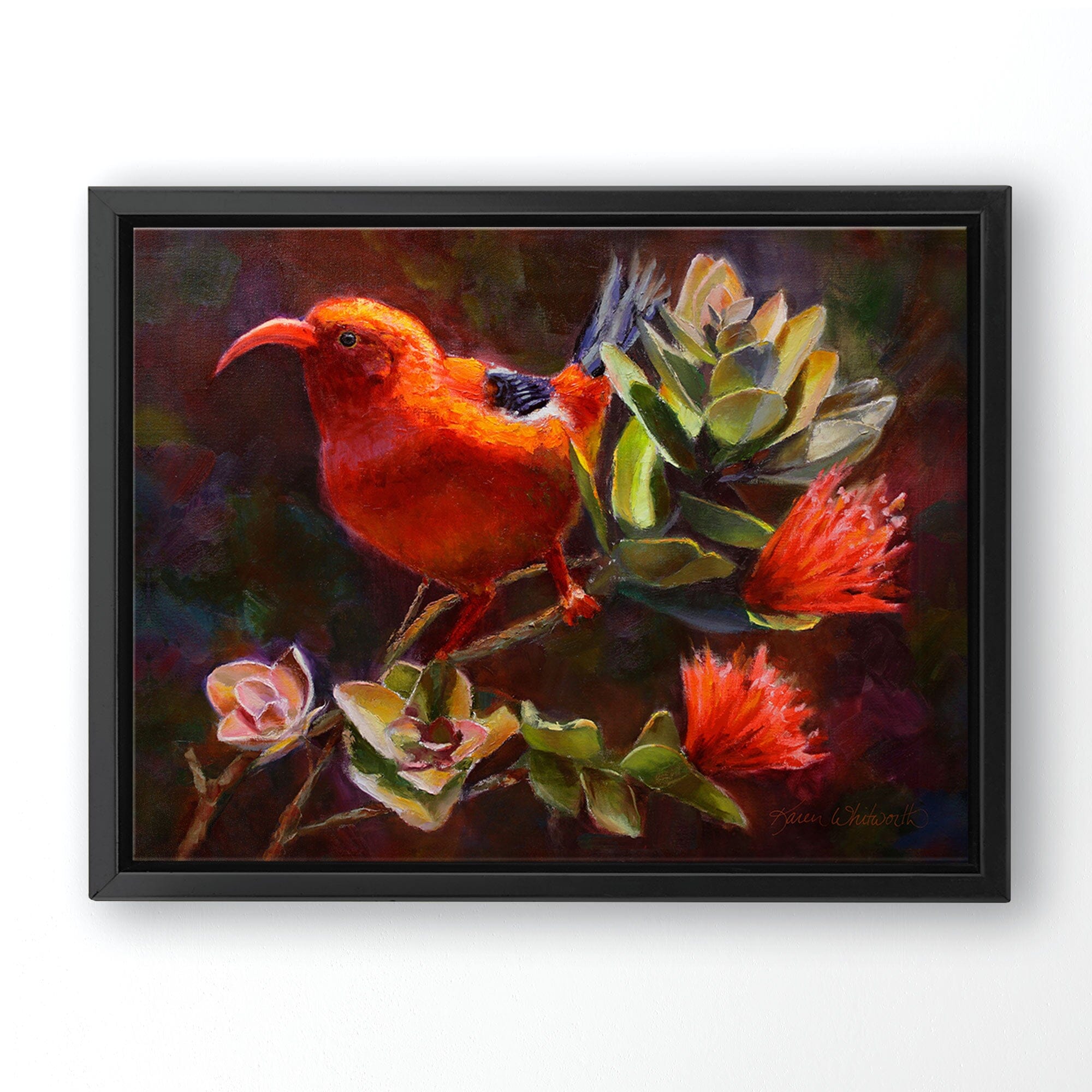 Hawaiian canvas art flower painting of ohia tree and iiwi bird by Hawaii artist Karen Whitworth. The artwork is in a black frame and is hanging on a white wall. 