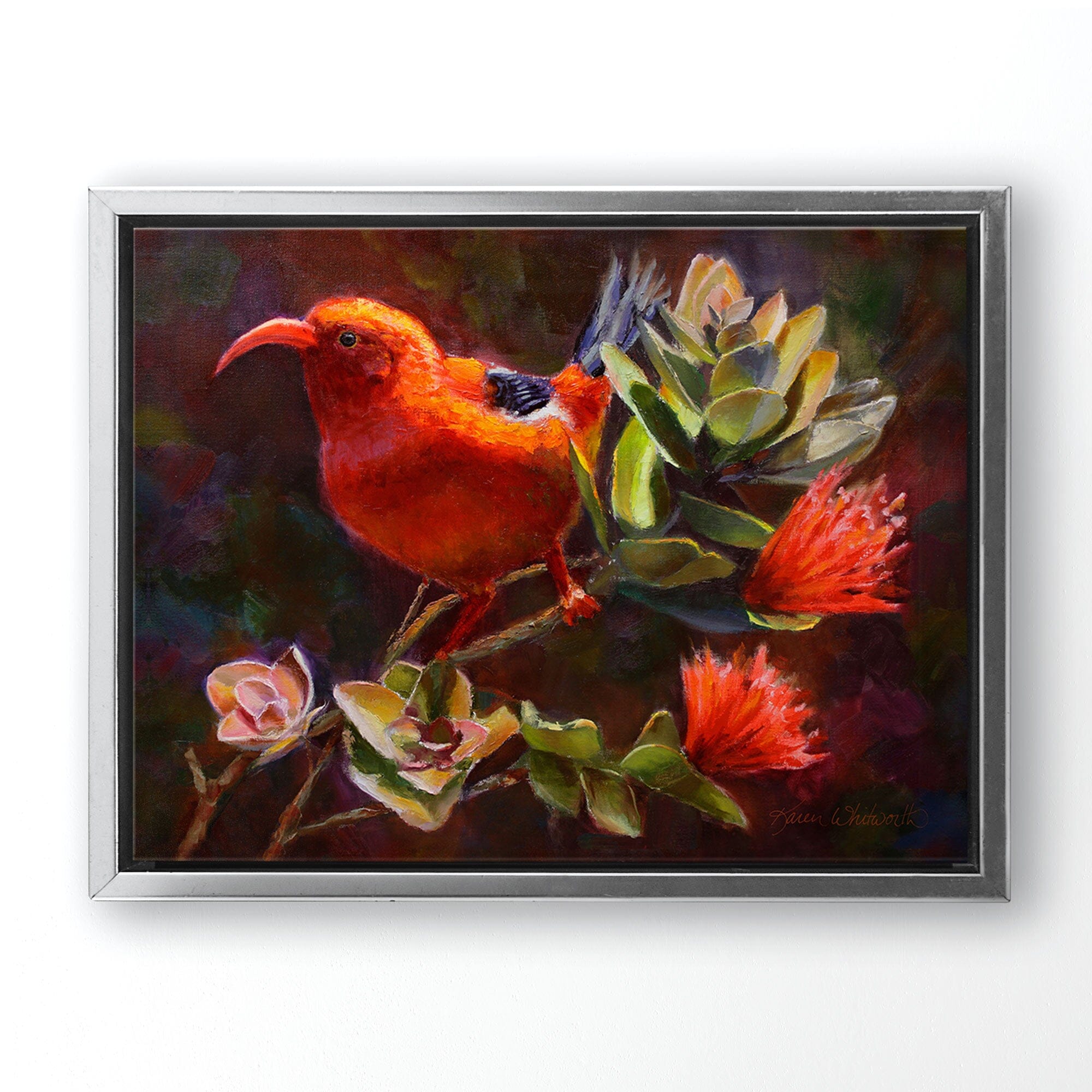 Hawaiian canvas art flower painting of ohia tree and iiwi bird by Hawaii artist Karen Whitworth. The artwork is in a silver frame and is hanging on a white wall. 