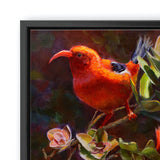 Hawaiian canvas art flower painting of ohia tree and iiwi bird by Hawaii artist Karen Whitworth. The artwork is in a black frame and is hanging on a white wall. 