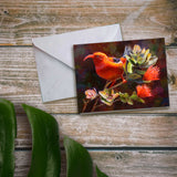 Hawaii note card featuring painting of Iiwi Ohia Lehua against a wood background