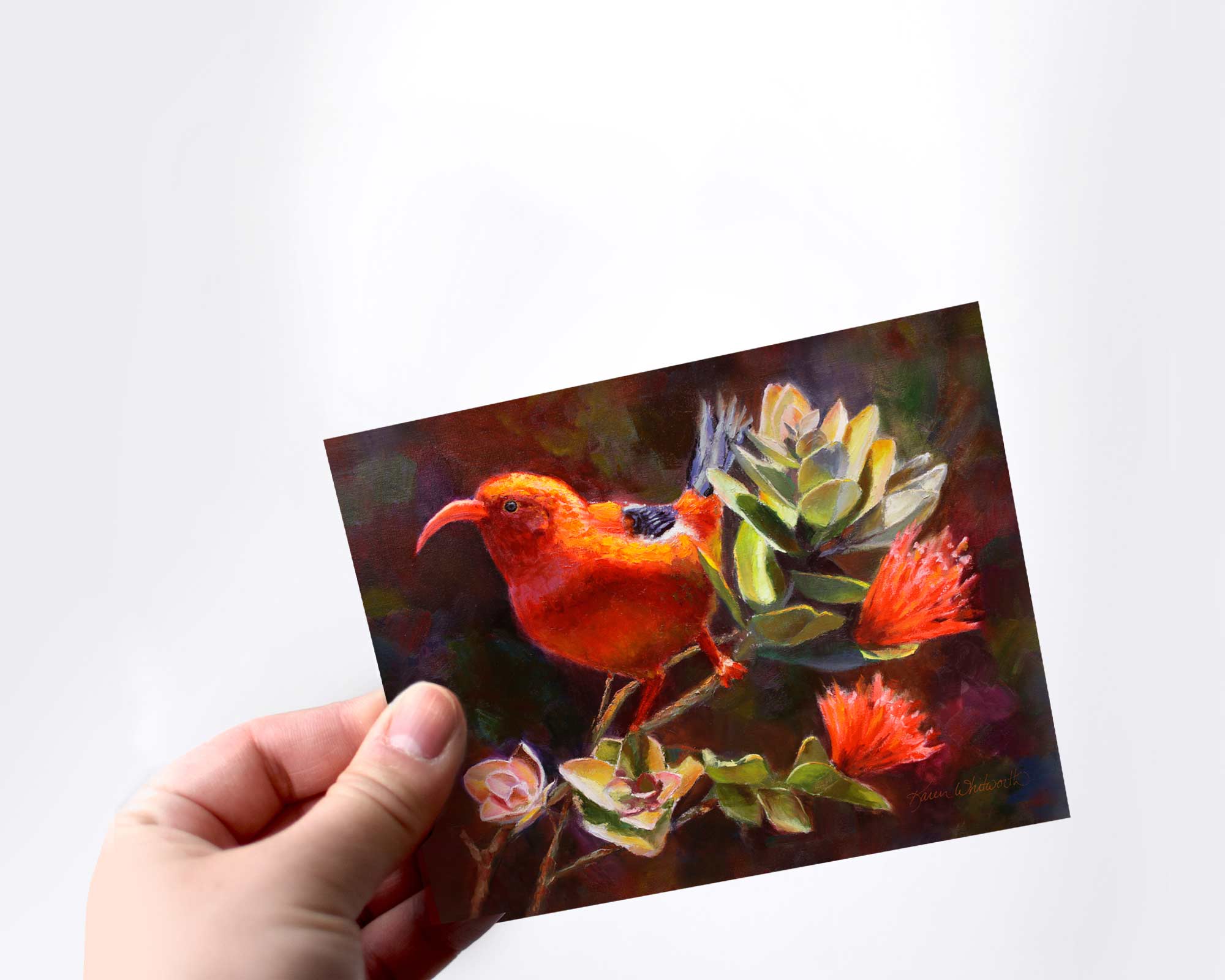 Person holding a Hawaii note card featuring painting of Iiwi and Ohia Lehua  Tropical Birds and Flower against a white background