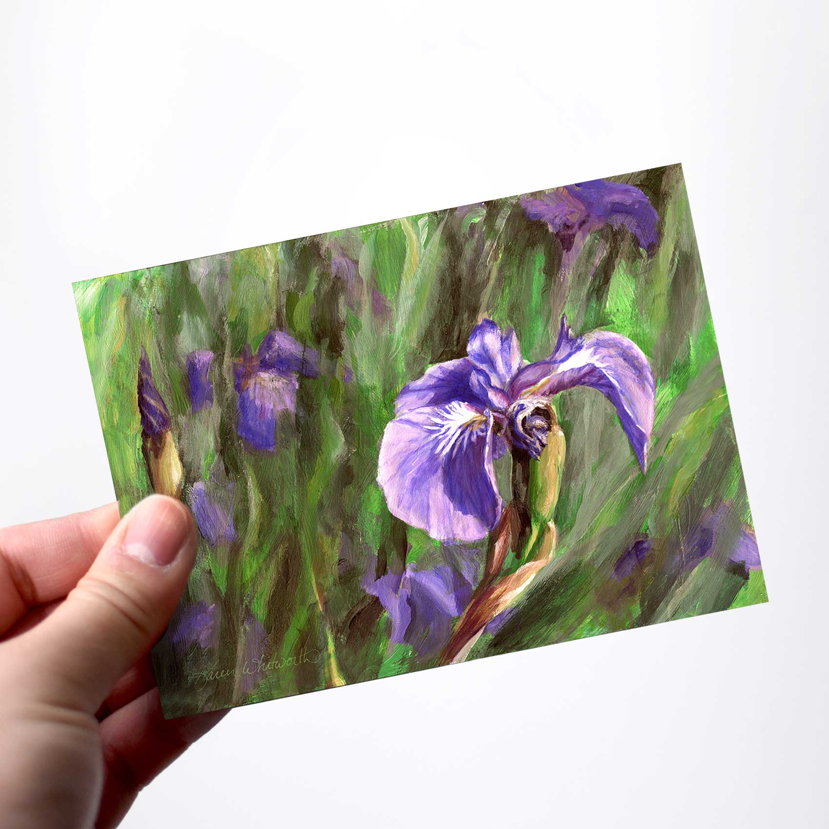 Iris Wildflower greeting card by Alaska artist Karen Whitworth