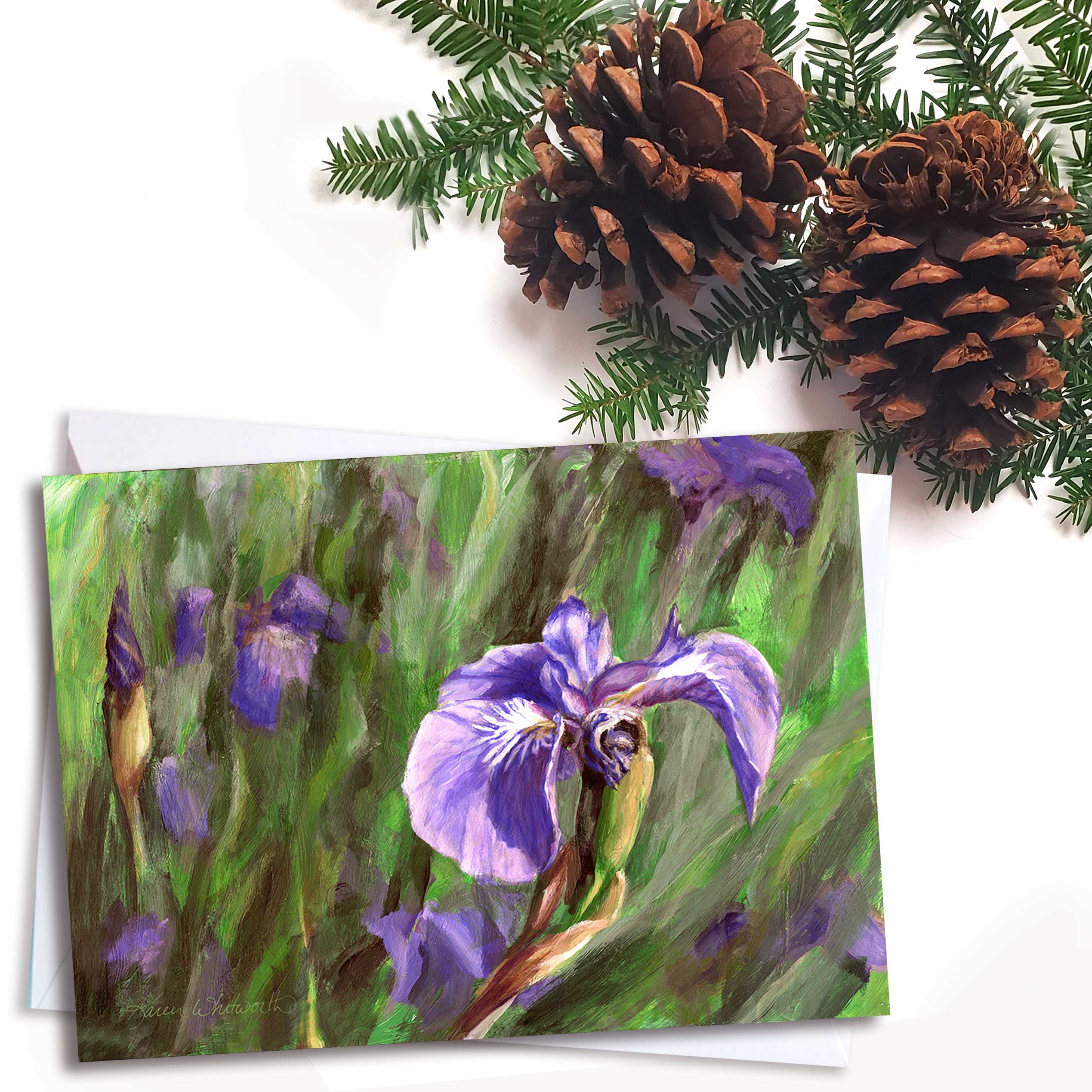 Iris Wildflower greeting card by Alaska artist Karen Whitworth