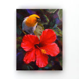 Tropical canvas art of Native Hawaiian Koki'o 'ula Hibiscus flower and  and Palila bird by artist Karen Whitworth. The artwork is hanging on a white wall.
