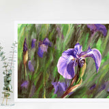 Paper wall art print of Alaskan wild iris flower by artist Karen Whitworth