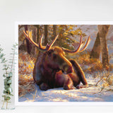 Winter Bull - Moose Art Prints